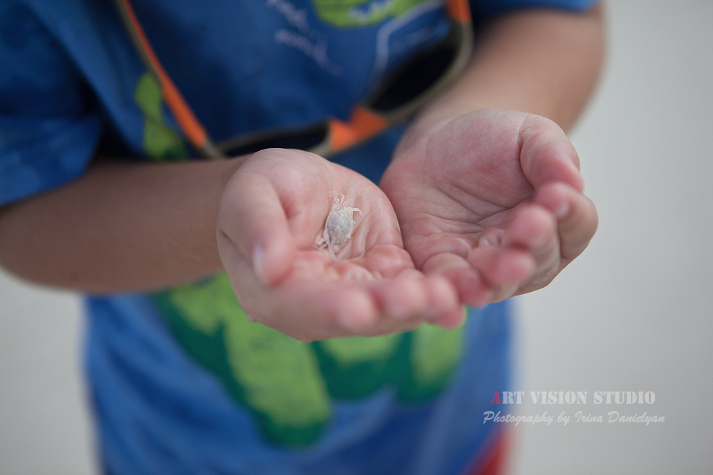 Crab in kids hands - American kids photographer in Riviera Maya